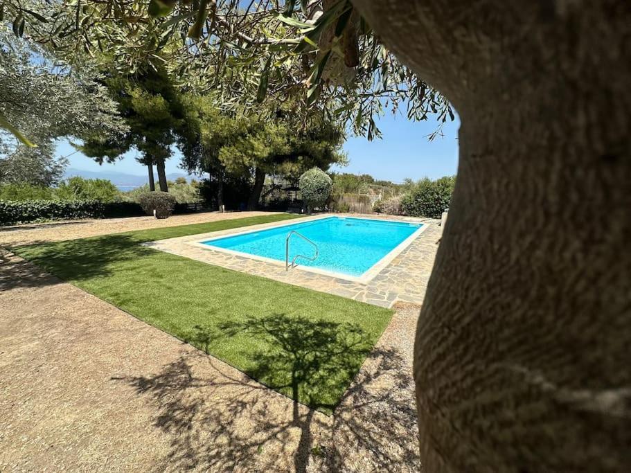 Villa Terrina Agioi Apostoloi  ภายนอก รูปภาพ